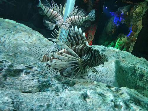 海底世界 海底世界